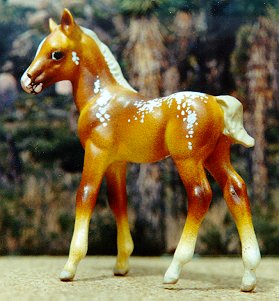 Sunburst as a foal