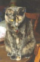 Spice, staring down at Maya